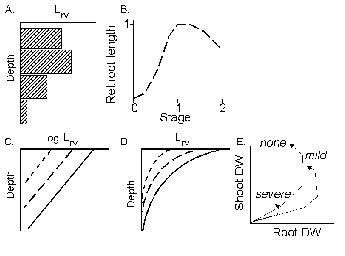 fig3
