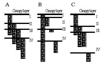 fig3